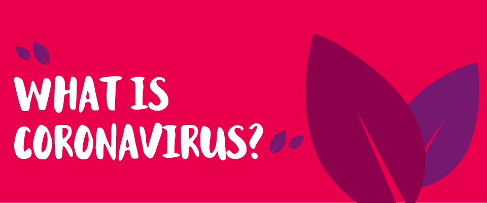 Sunnyfields What Is Coronavirus?